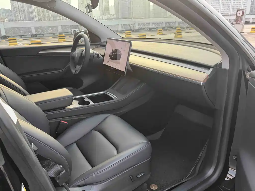 Tesla Model Y — миниатюра 7