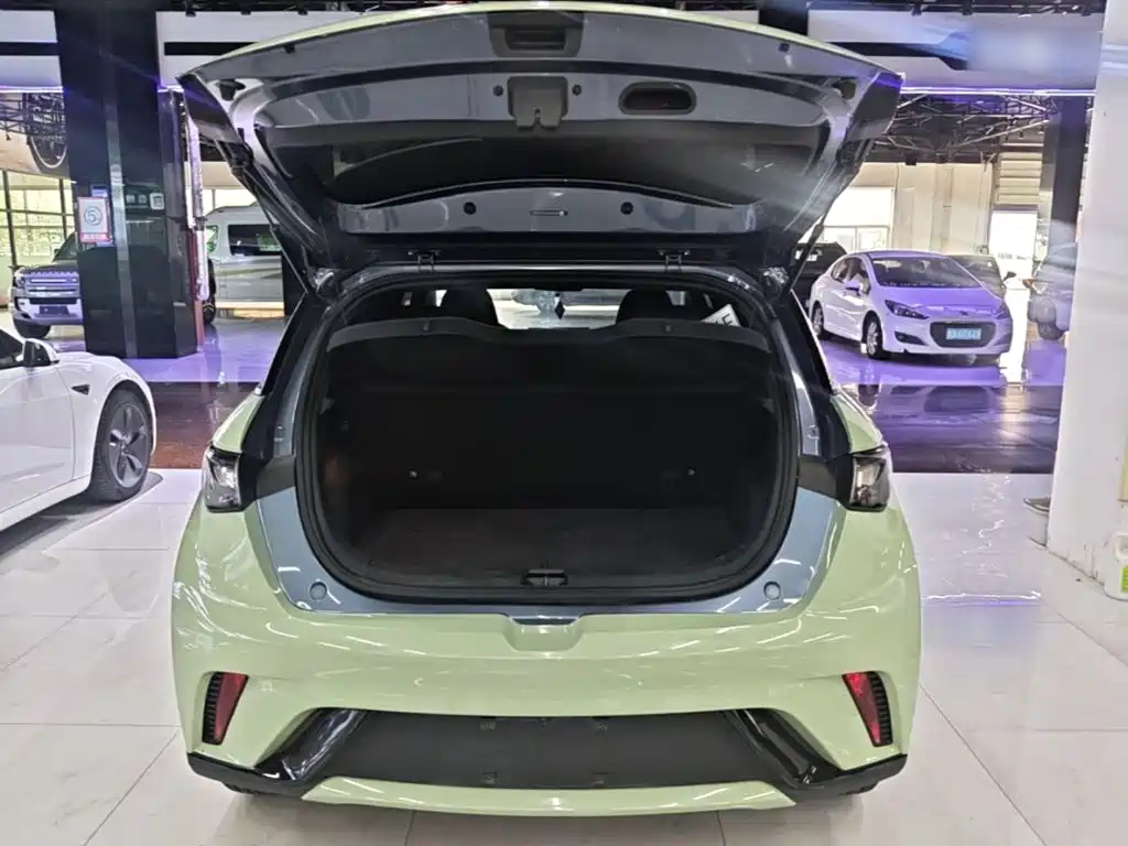 BYD Dolphin — миниатюра 19