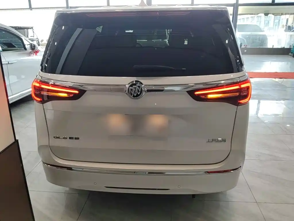 Buick GL8 — миниатюра 6