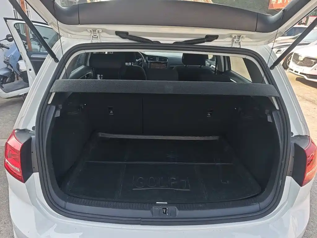 Volkswagen Golf — миниатюра 19