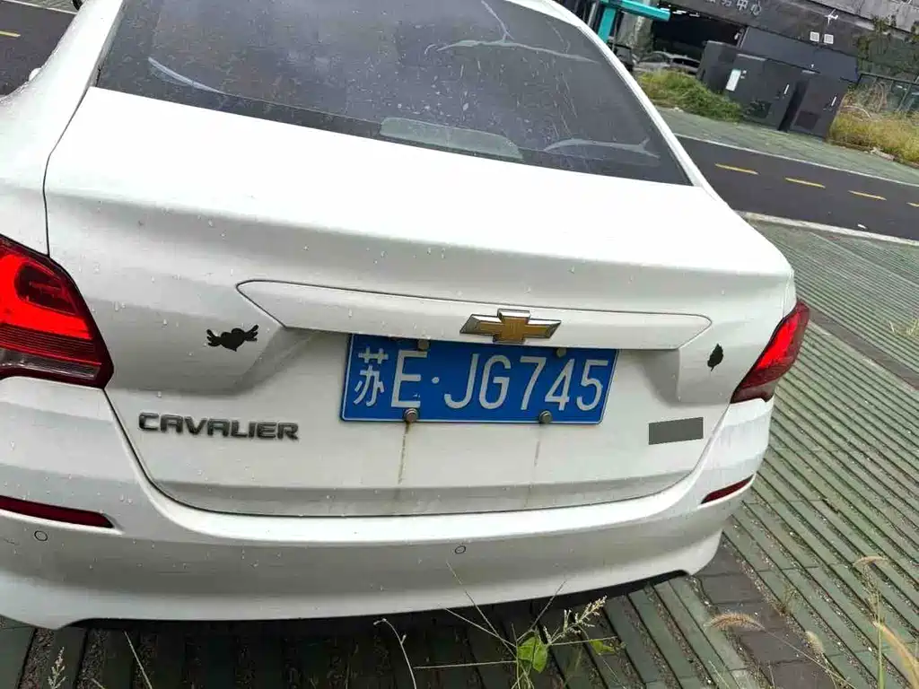 Chevrolet Cavalier — миниатюра 3