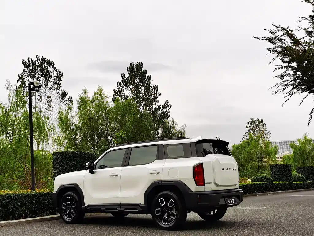 Haval Cool Dog — миниатюра 6