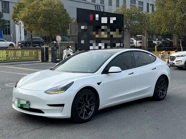 TESLA MODEL 3 2021