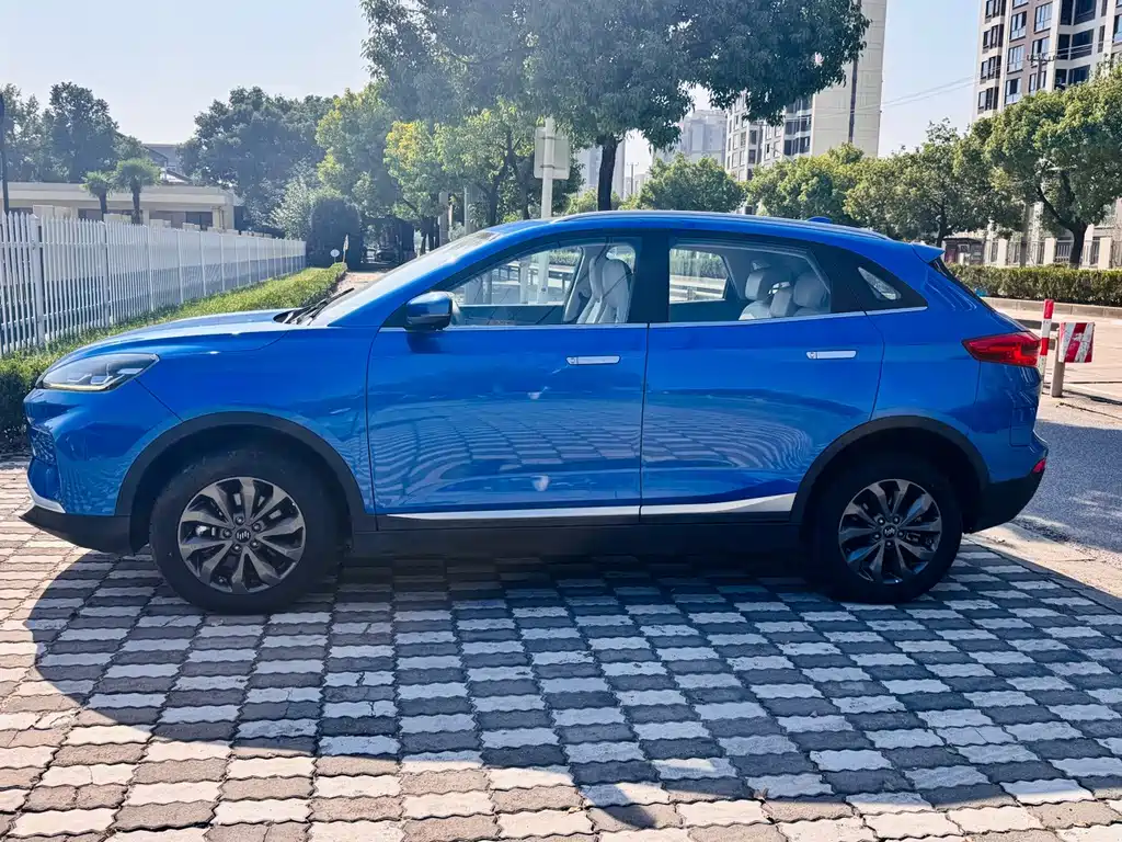 WM Motor EX5 — миниатюра 5