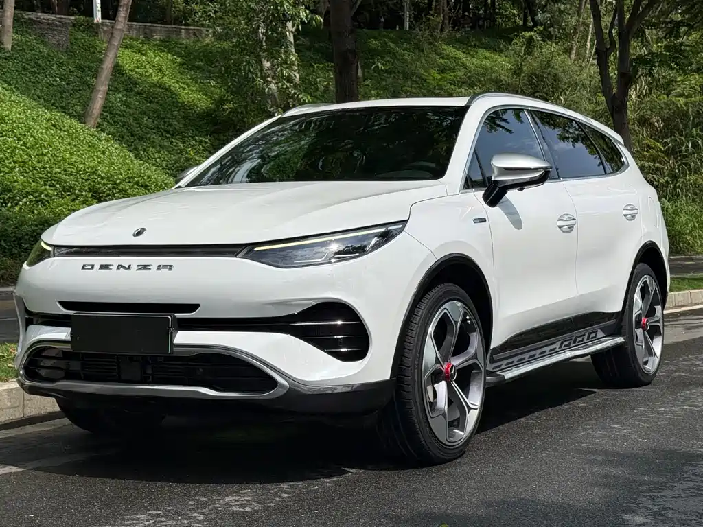 Denza Denza X 2020