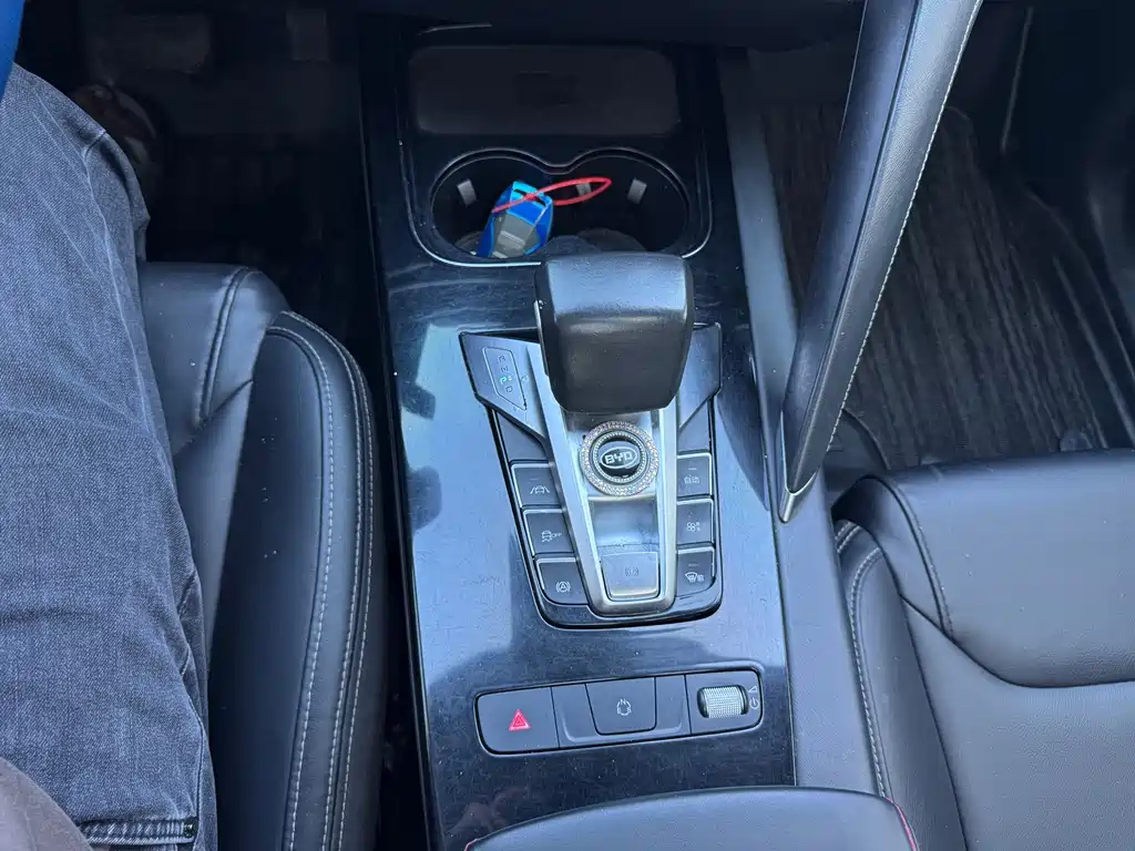BYD Pro — миниатюра 11