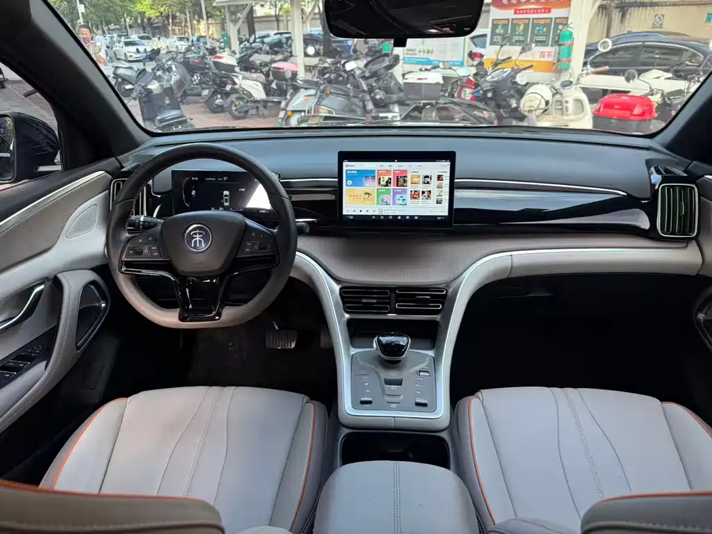 BYD Pro New Energy — миниатюра 4