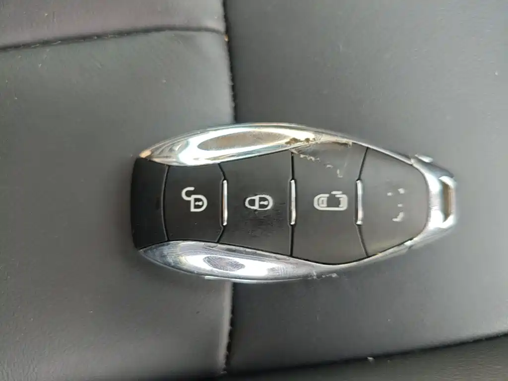 Hongqi Hongqi HQ9 PHEV — миниатюра 9