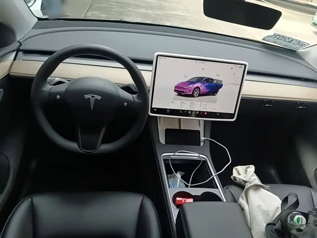 Tesla Model Y — миниатюра 10