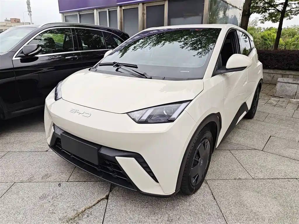 Byd Seagull 2024