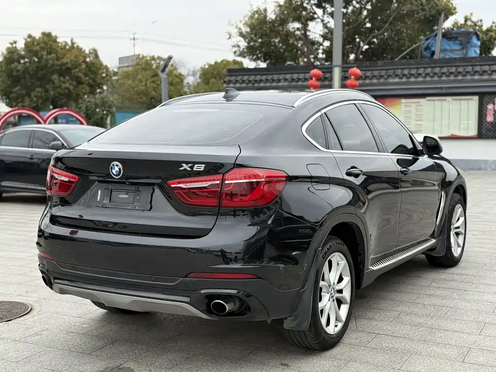BMW X6 — миниатюра 9