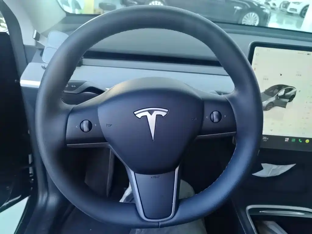 Tesla Model Y — миниатюра 11