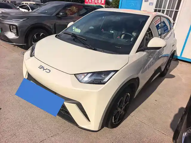 2024 BYD Seagull