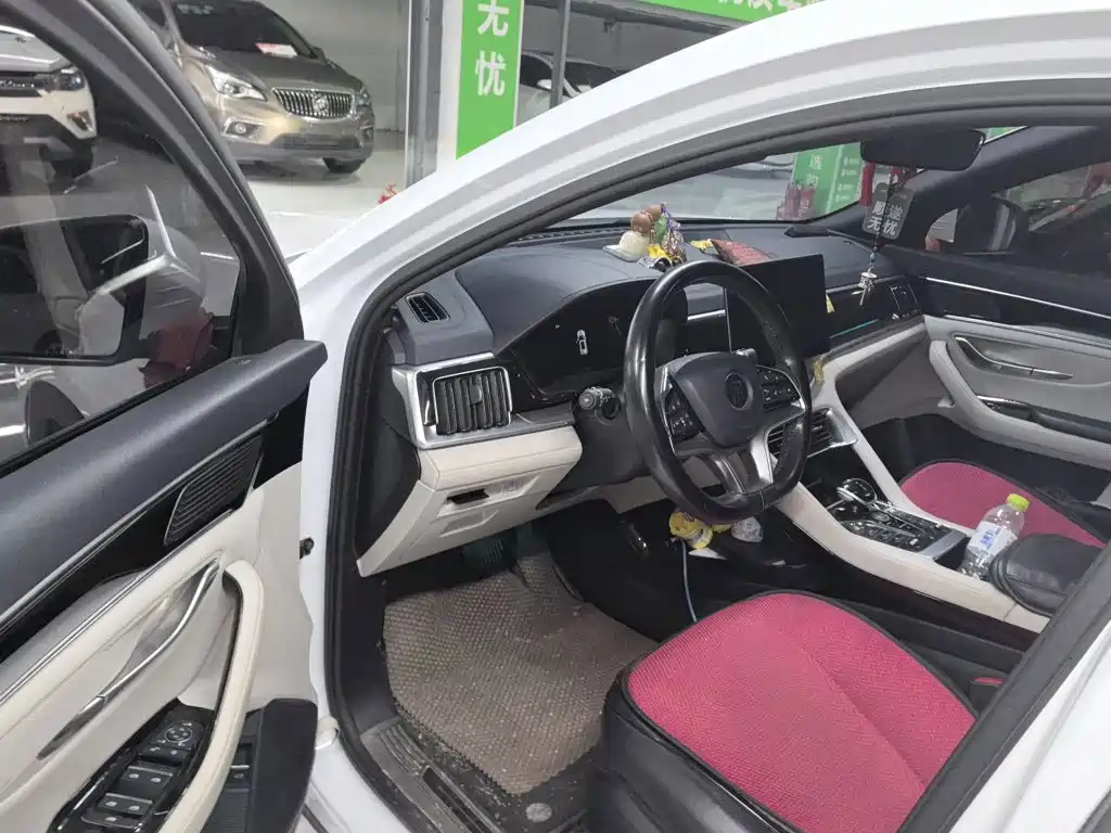 BYD PLUS New Energy — миниатюра 13
