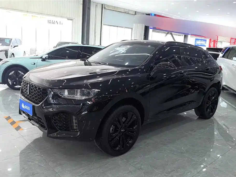 WEI PAI WEI BRAND VV5