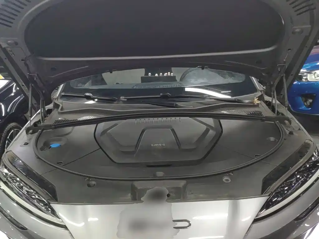 BYD PLUS New Energy — миниатюра 20