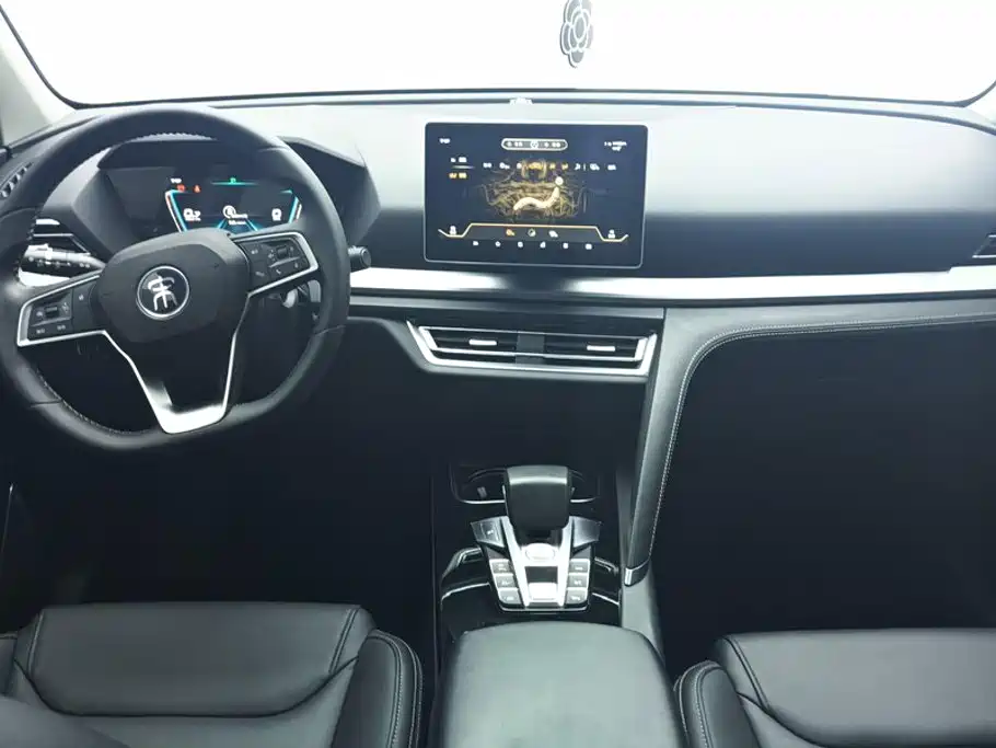 BYD Pro — миниатюра 12