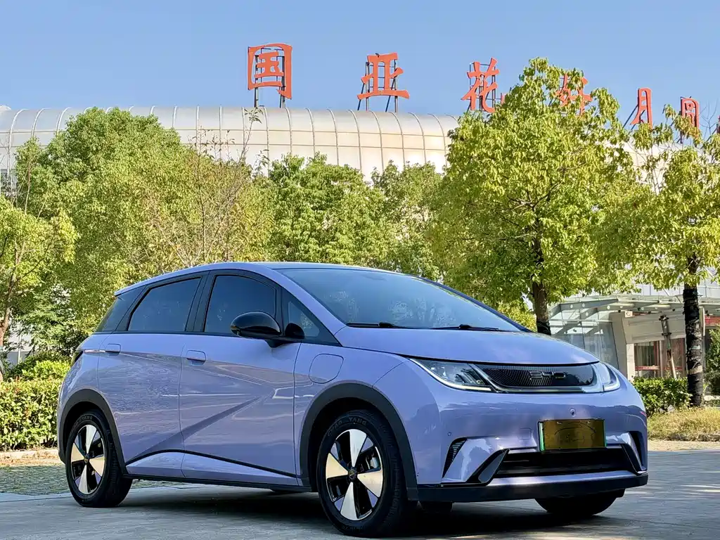BYD Dolphin — миниатюра 3