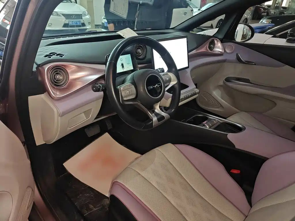 BYD Dolphin — миниатюра 14