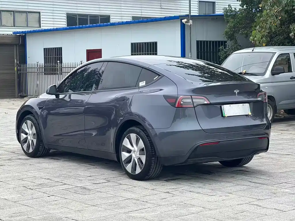 Tesla Model Y — миниатюра 8