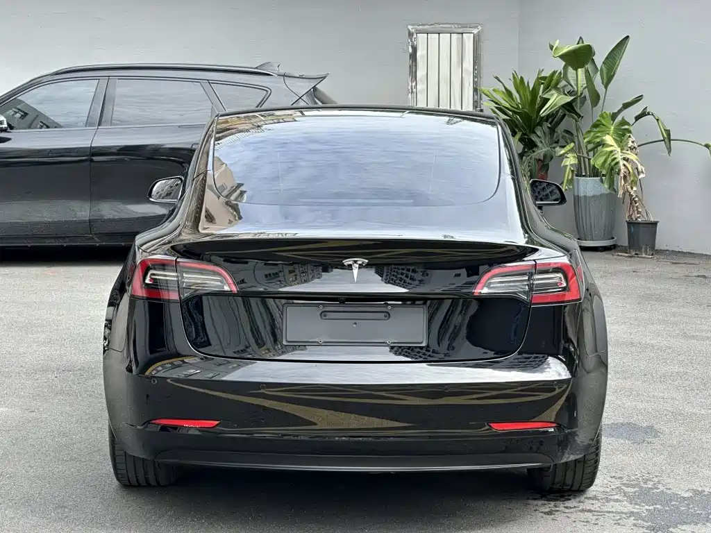 Tesla Model 3 — миниатюра 7