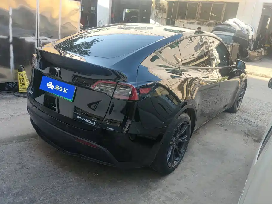 Tesla Model Y — миниатюра 3