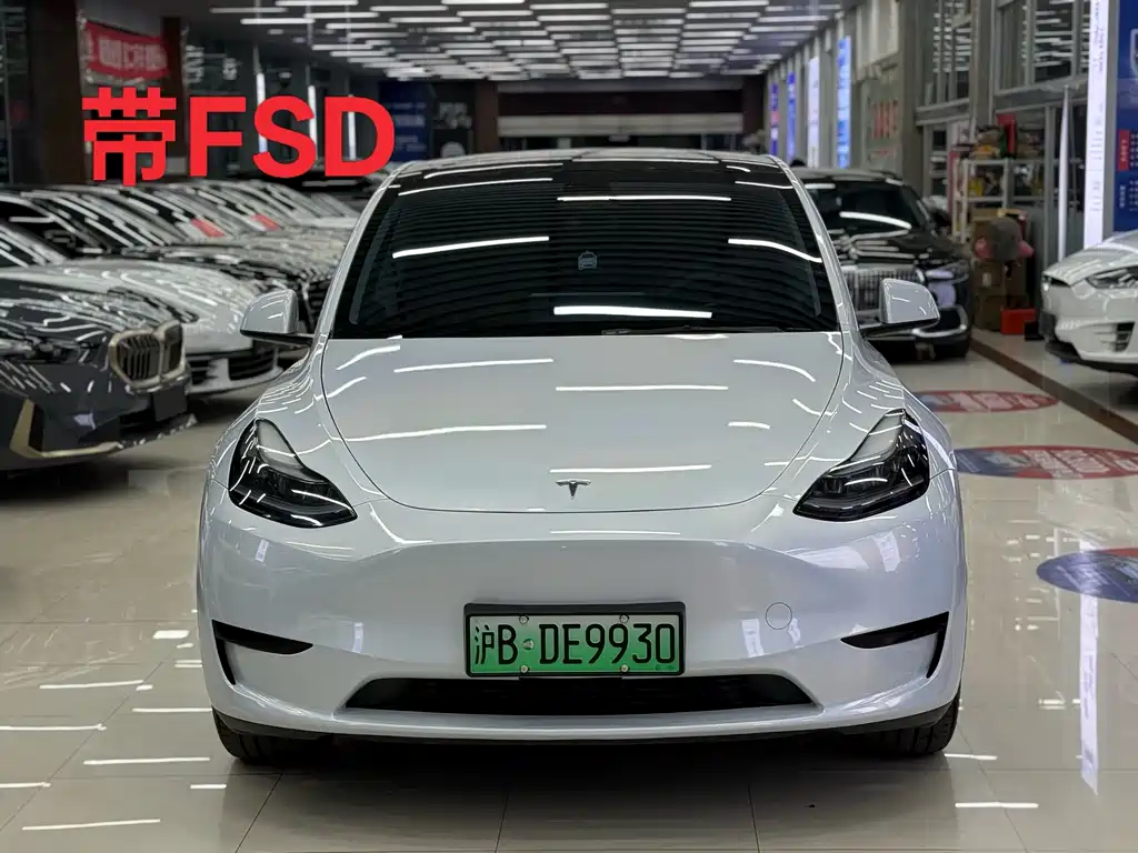 TESLA MODEL Y