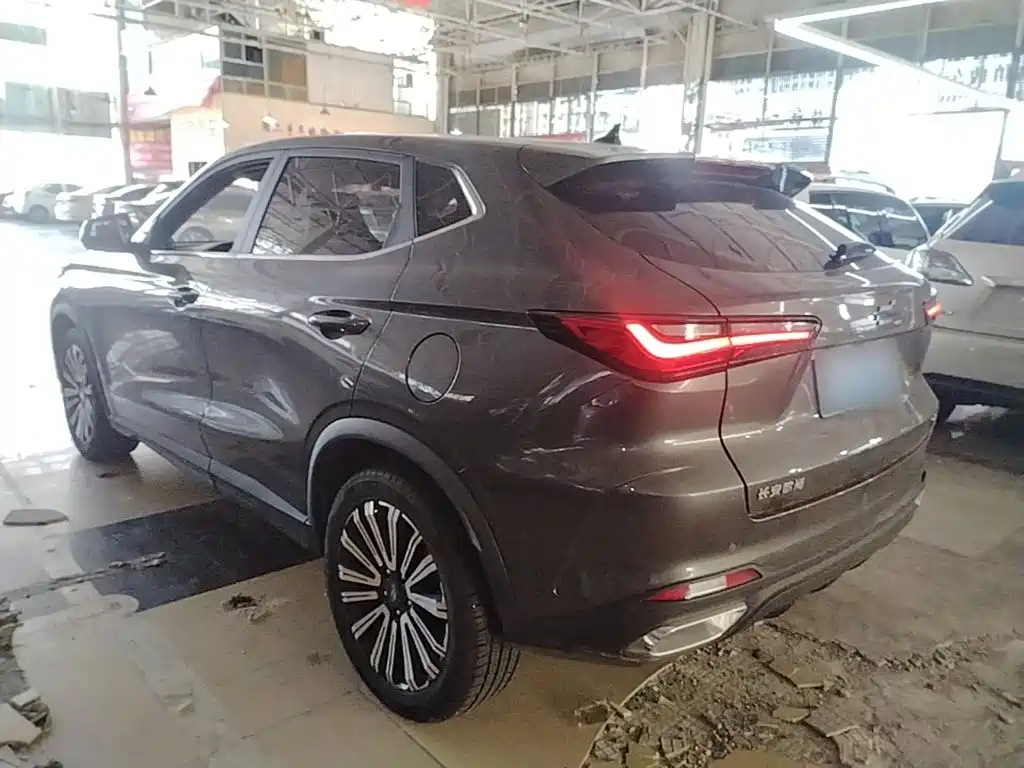 Oshan Oushang X5 — миниатюра 5