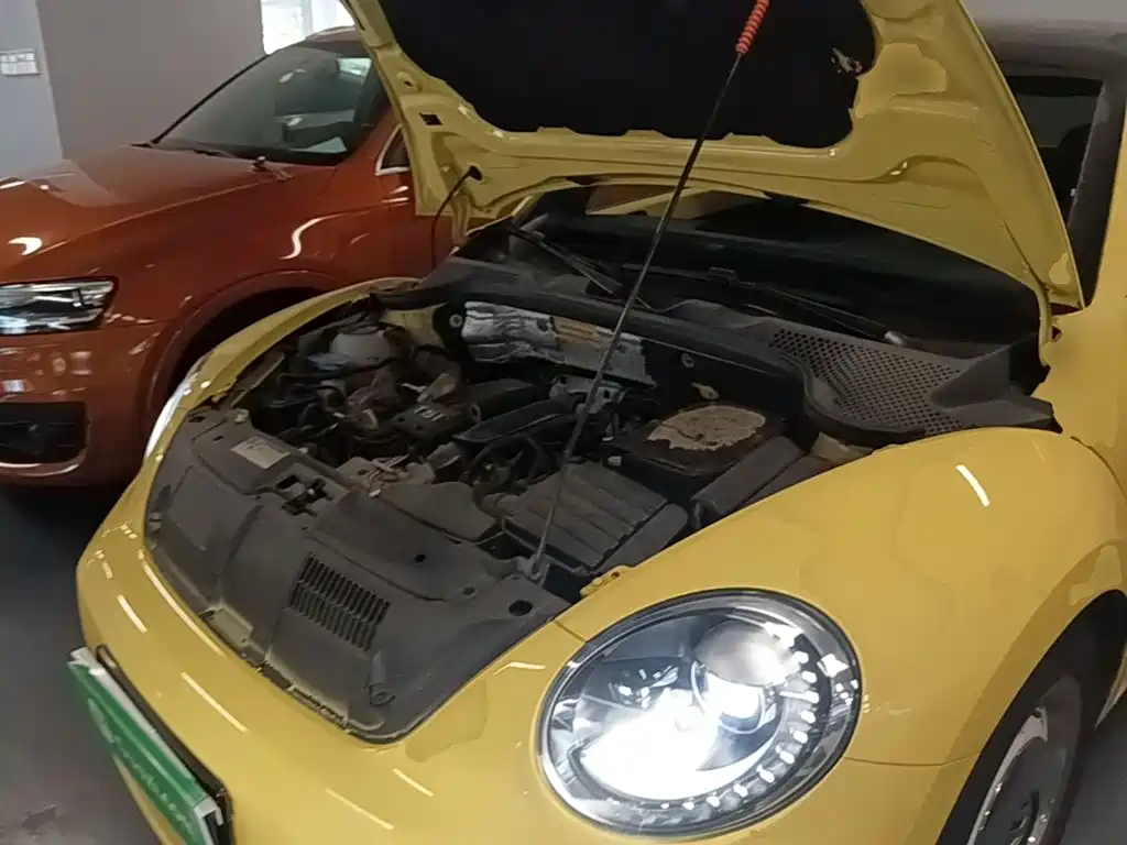 Volkswagen Beetle — миниатюра 20