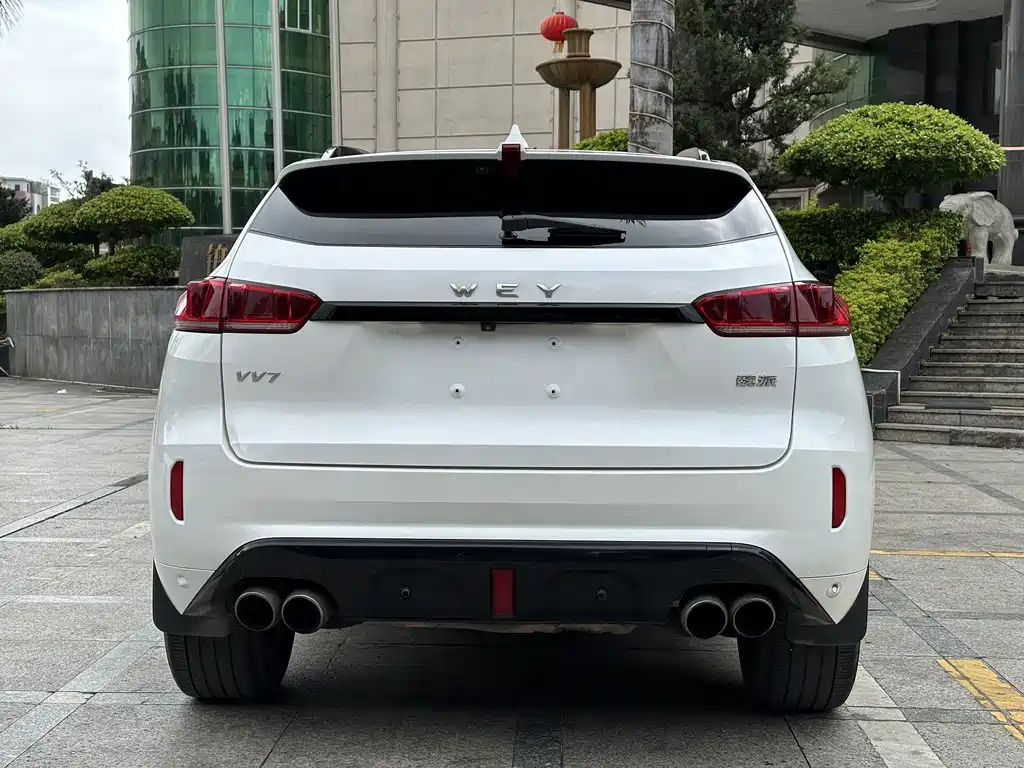 WEI PAI WEI BRAND VV7