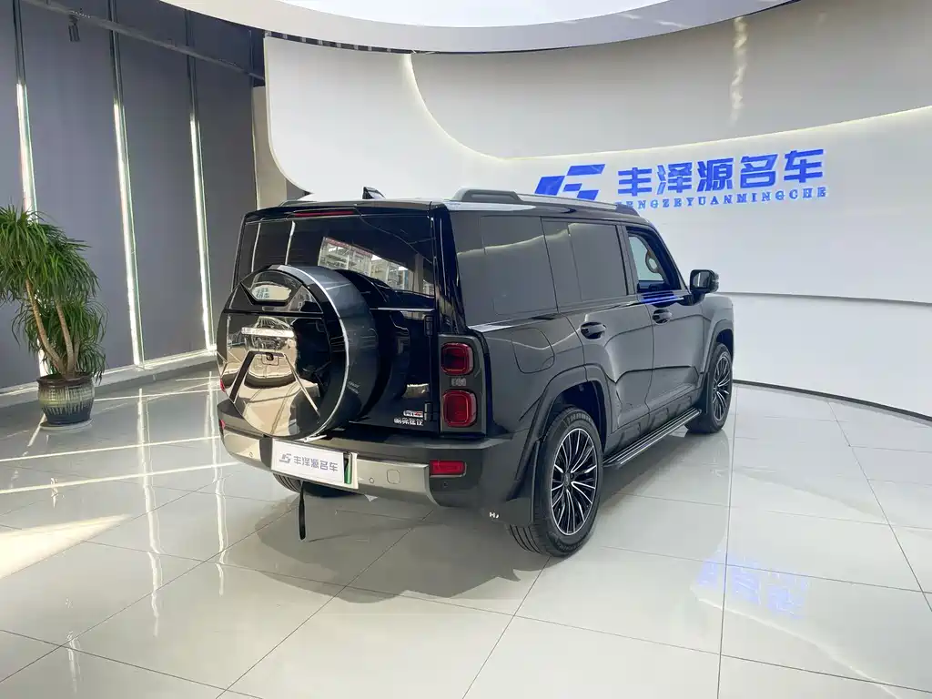 HAVAL RAPTORS NEW ENERGY