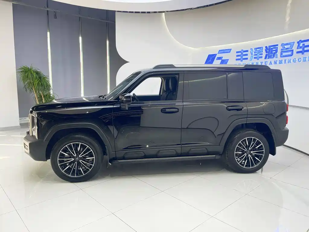 HAVAL RAPTORS NEW ENERGY