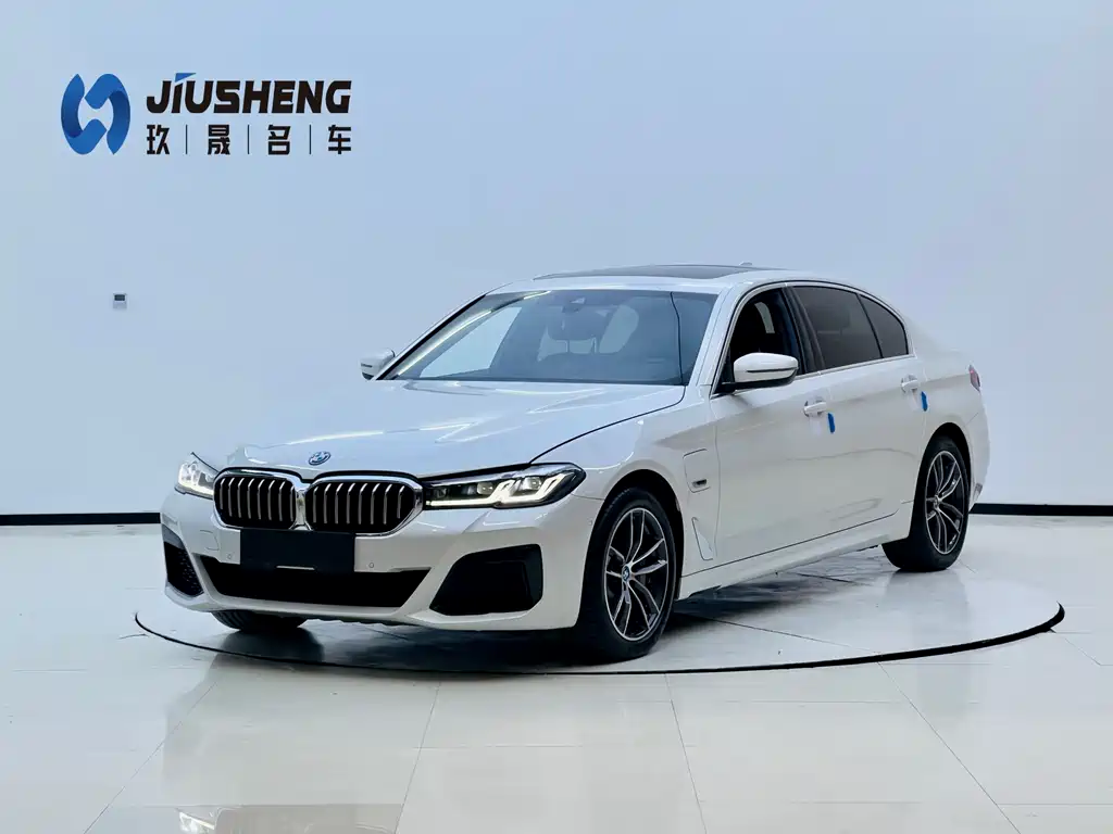 BMW 5 Series New Energy 2022