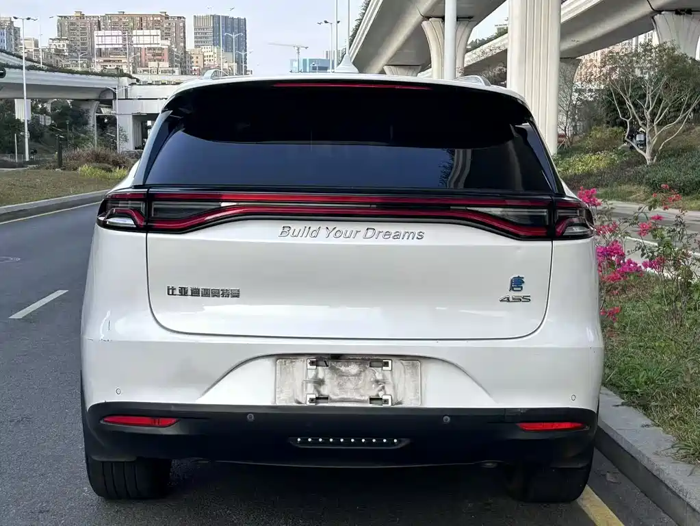 BYD TANGXIN ENERGY