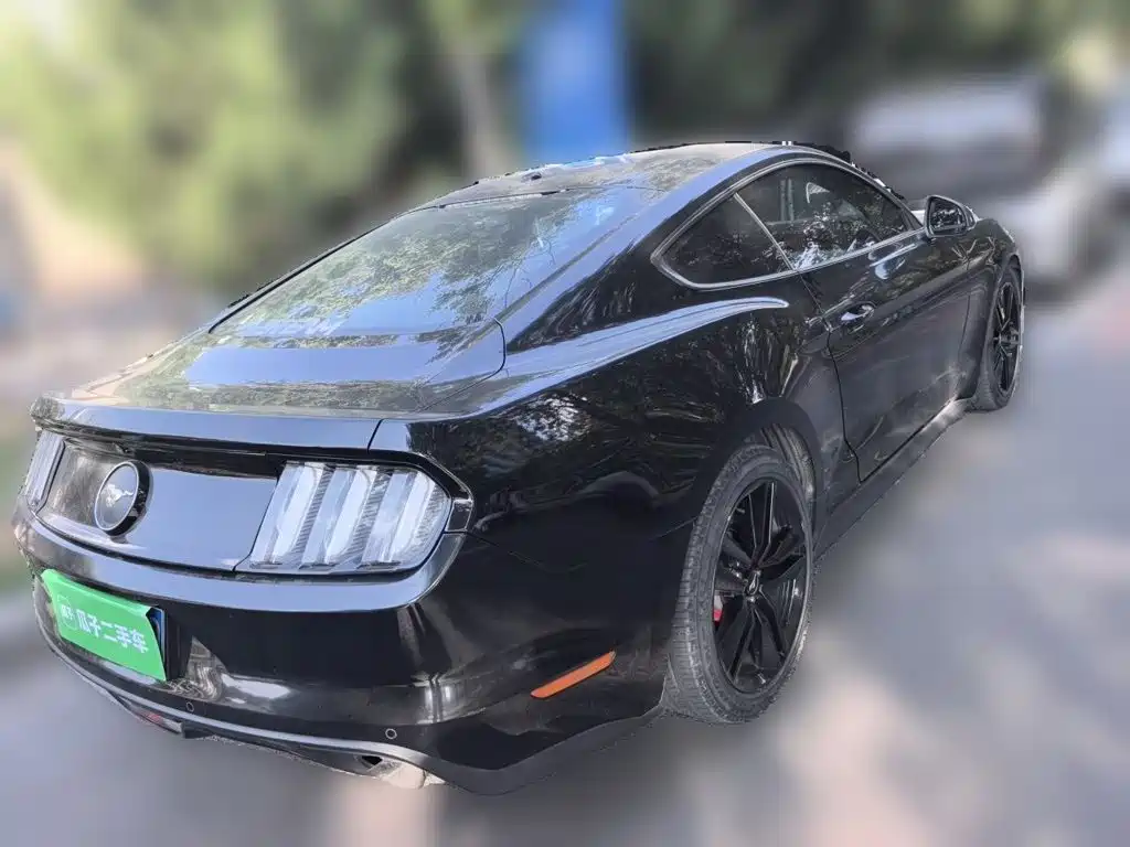 Ford Mustang — миниатюра 6