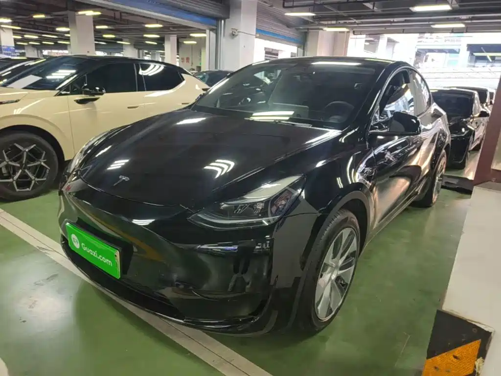 Tesla Model Y — миниатюра 2