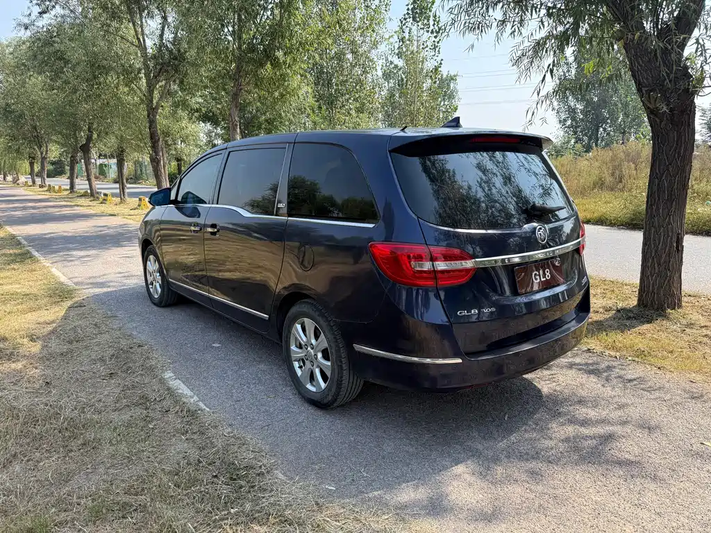 Buick GL8 — миниатюра 4