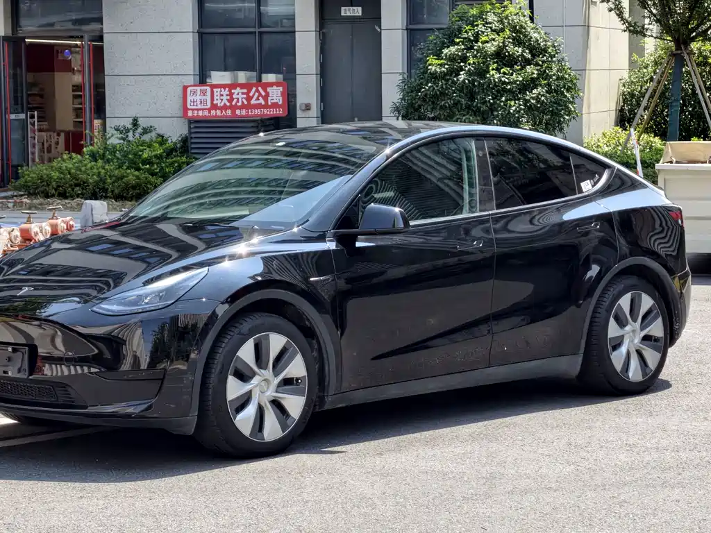Tesla Model Y — миниатюра 6