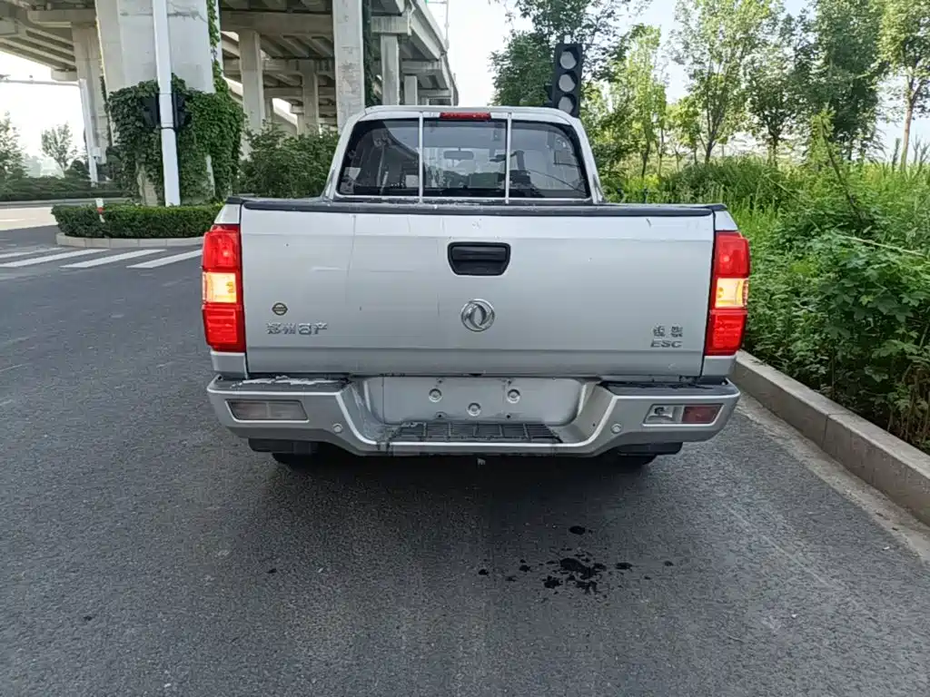 Dongfeng Rich — миниатюра 6