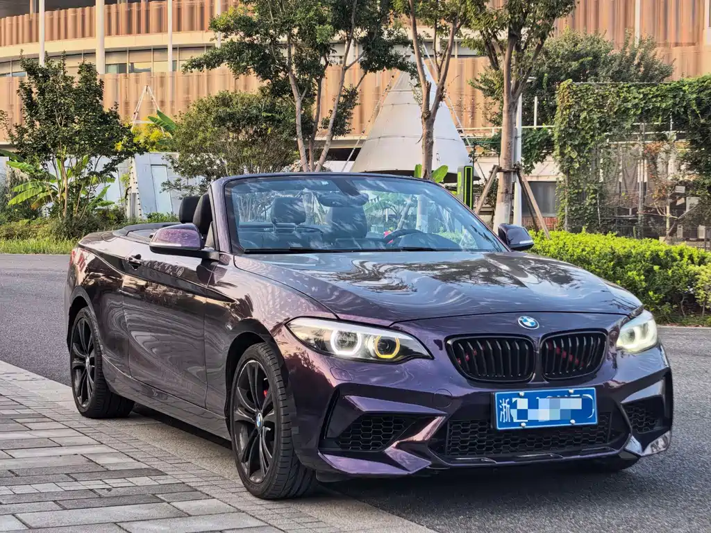 BMW 2 Series (Import) — миниатюра 3