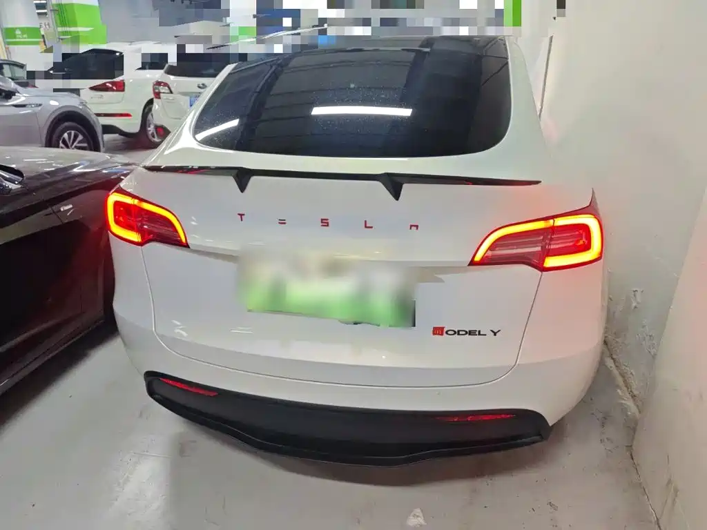 Tesla Model Y — миниатюра 4