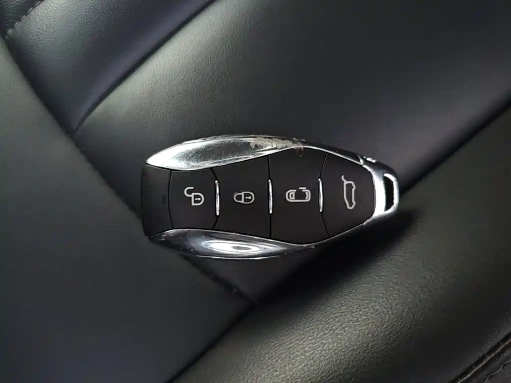 Hongqi Hongqi HQ9 PHEV — миниатюра 9