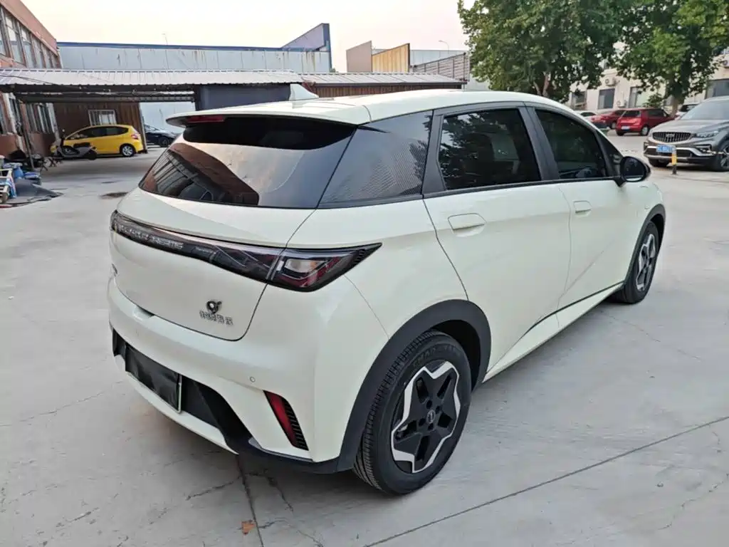 BYD Dolphin — миниатюра 7