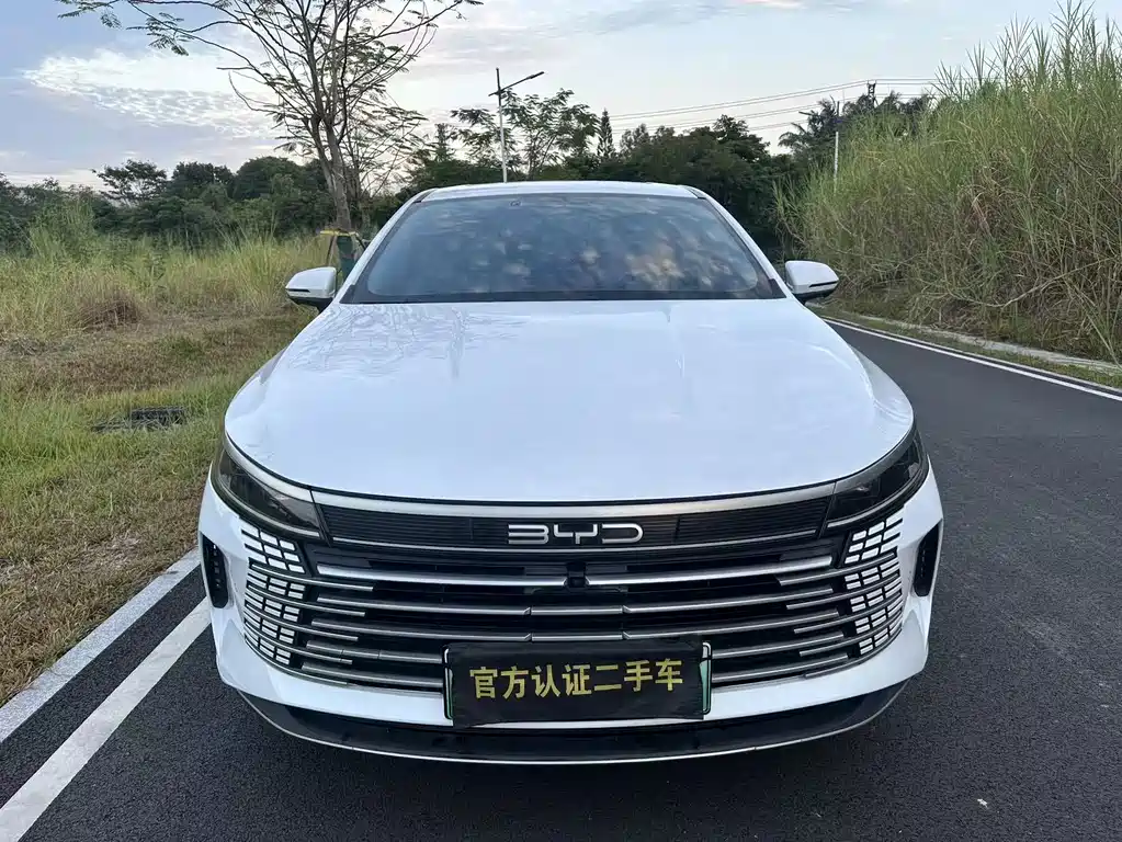 BYD Destroyer 05 — миниатюра 2