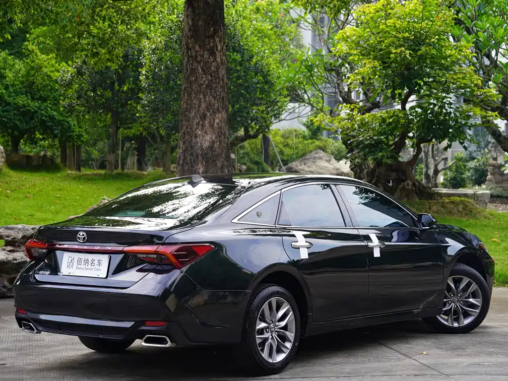 Toyota Avalon 2019 2.0L Luxury VI