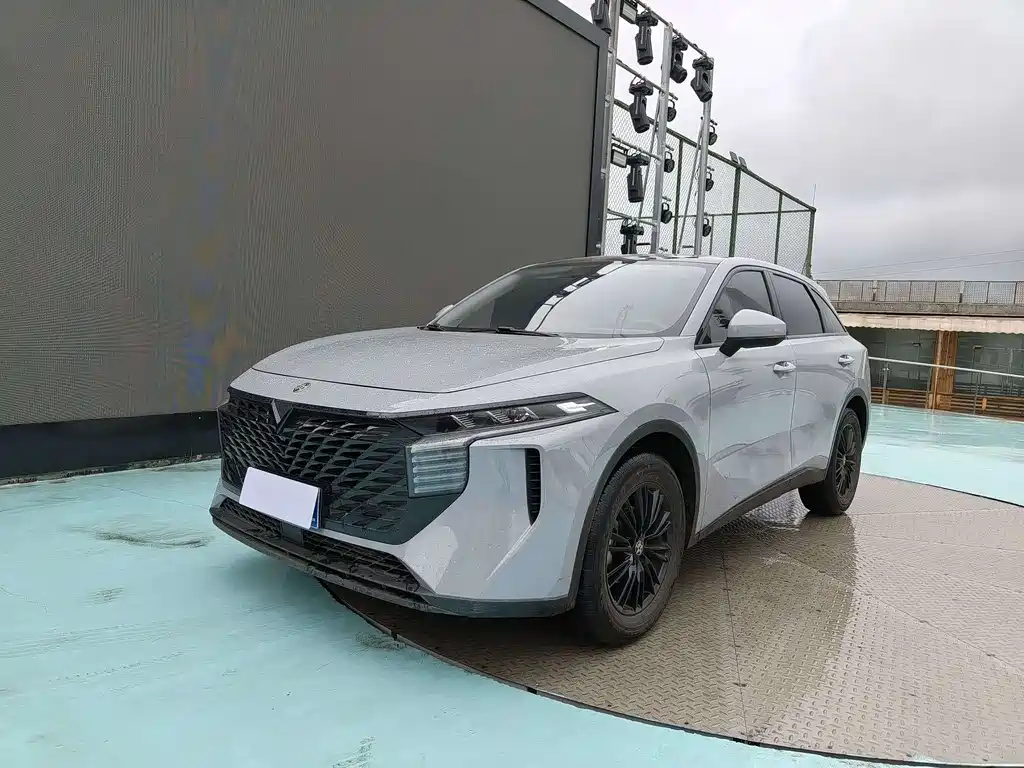 Venucia V 2023