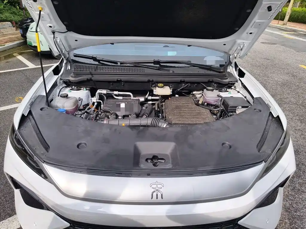 BYD Pro New Energy — миниатюра 11