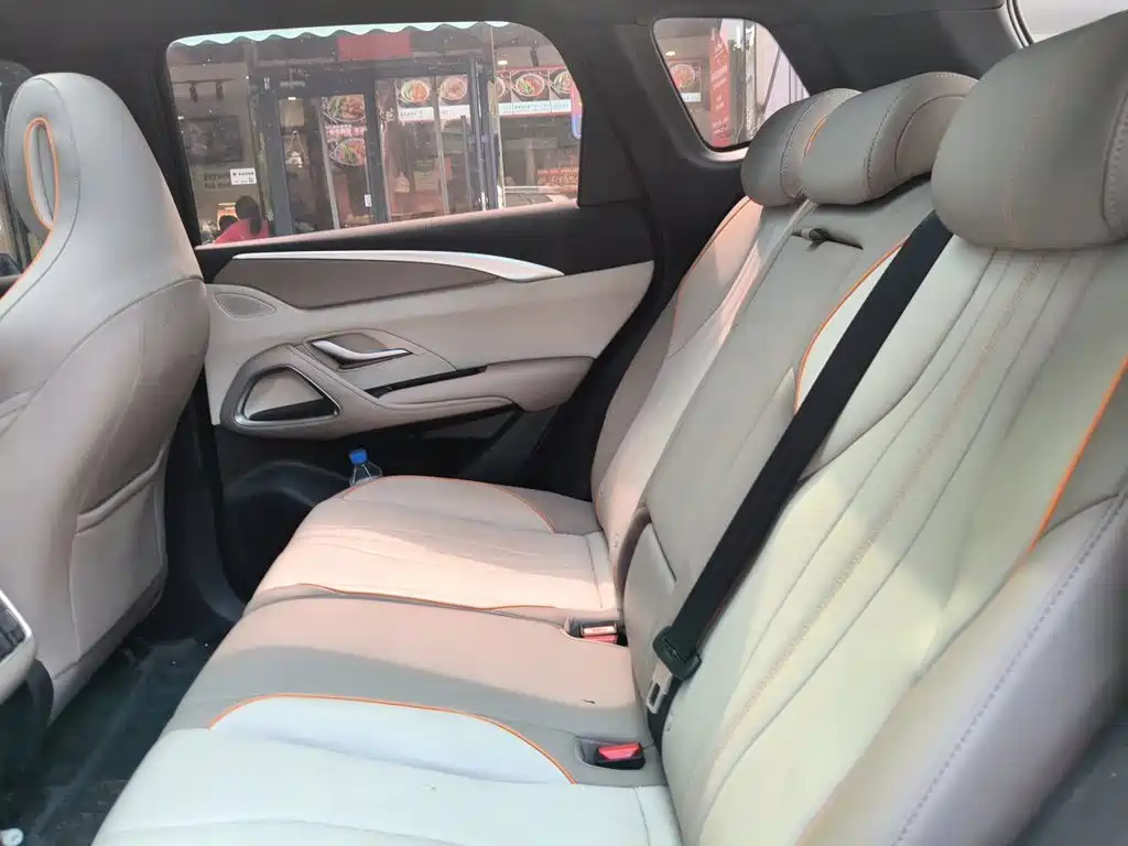BYD Pro New Energy — миниатюра 15