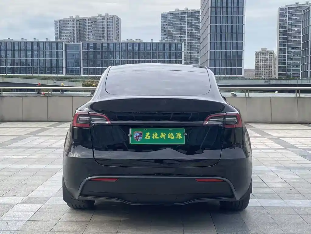 Tesla Model Y — миниатюра 14