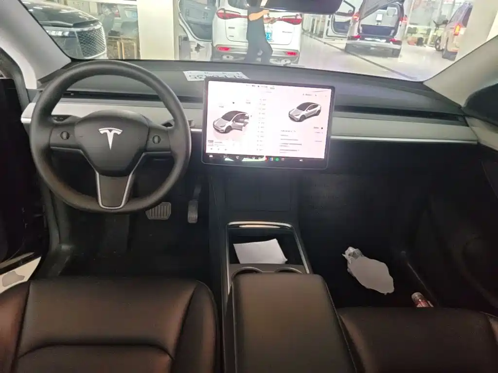 Tesla Model Y — миниатюра 10
